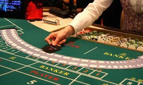 505bet8