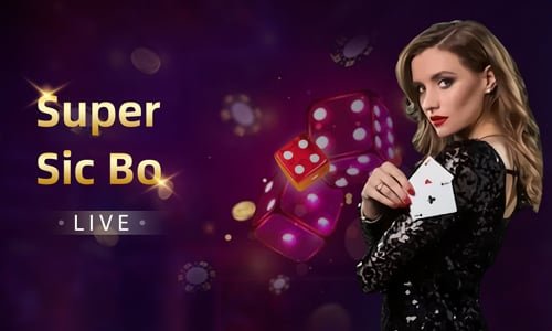 505bet8